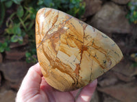 Polished Picture Stone Jasper Standing Free Forms x 3 From Ais-Ais, Namibia