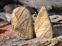 Polished Picture Stone Jasper Standing Free Forms x 3 From Ais-Ais, Namibia