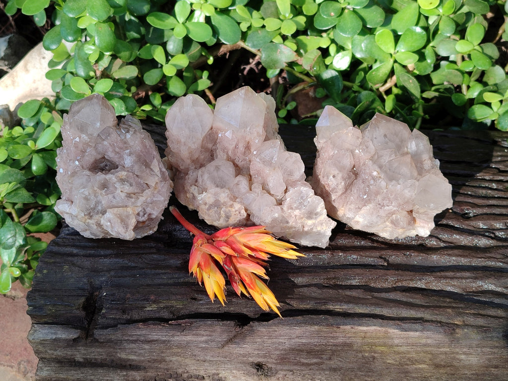 Natural Smokey Phantom Quartz Clusters x 3 From Luena, Congo - Toprock Gemstones and Minerals 