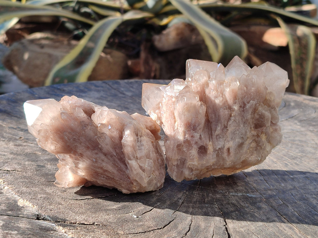 Natural Smokey Phantom Quartz Clusters x 3 From Luena, Congo - Toprock Gemstones and Minerals 
