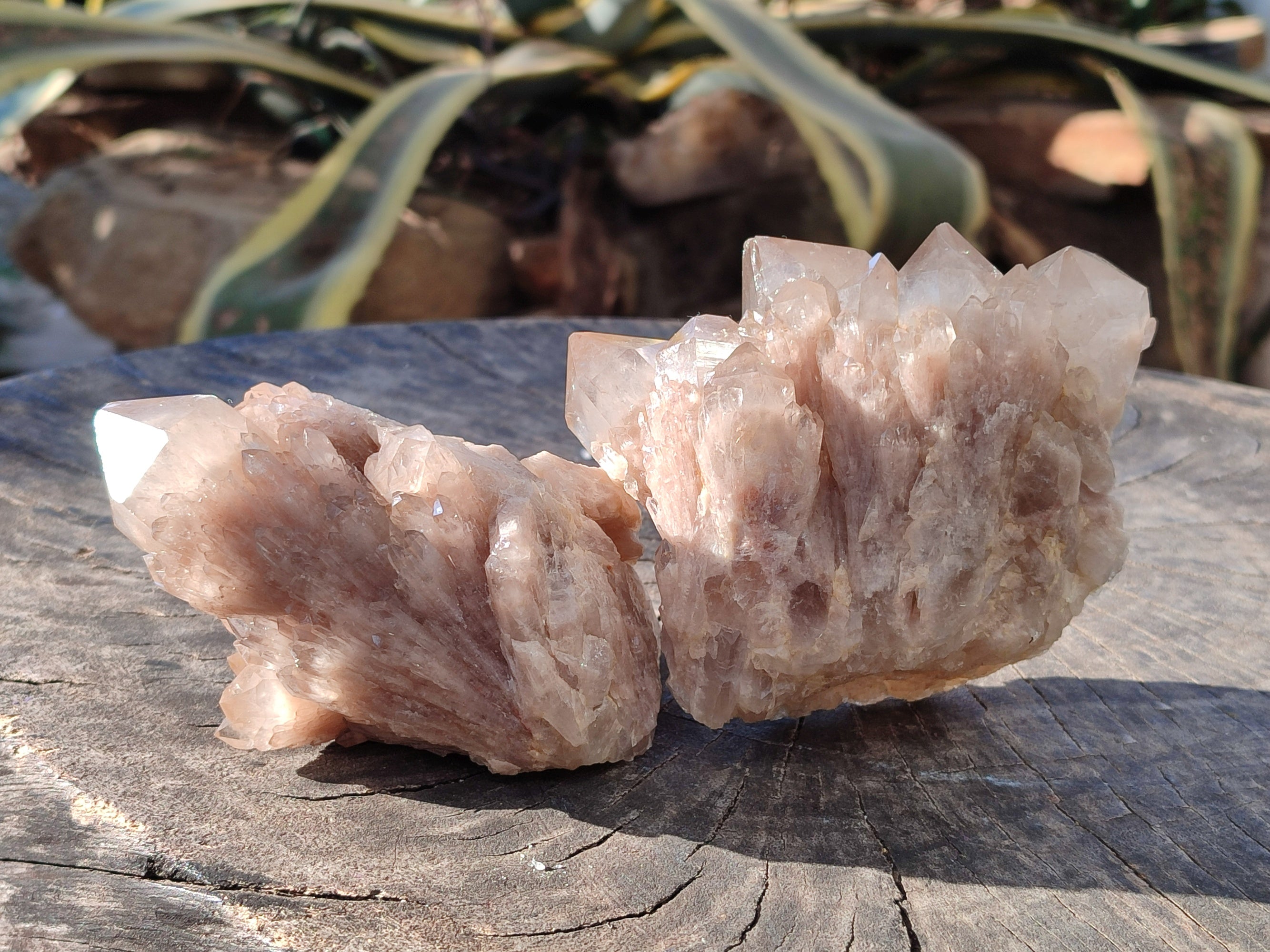 Natural Smokey Phantom Quartz Clusters x 3 From Luena, Congo - Toprock Gemstones and Minerals 