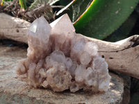Natural Smokey Phantom Quartz Clusters x 3 From Luena, Congo