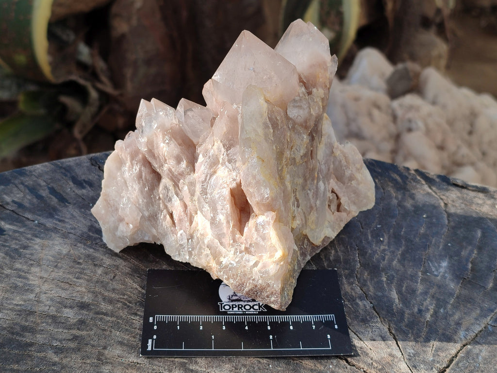 Natural Smokey Phantom Quartz Clusters x 3 From Luena, Congo - Toprock Gemstones and Minerals 