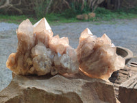 Natural Smokey Phantom Quartz Clusters x 3 From Luena, Congo
