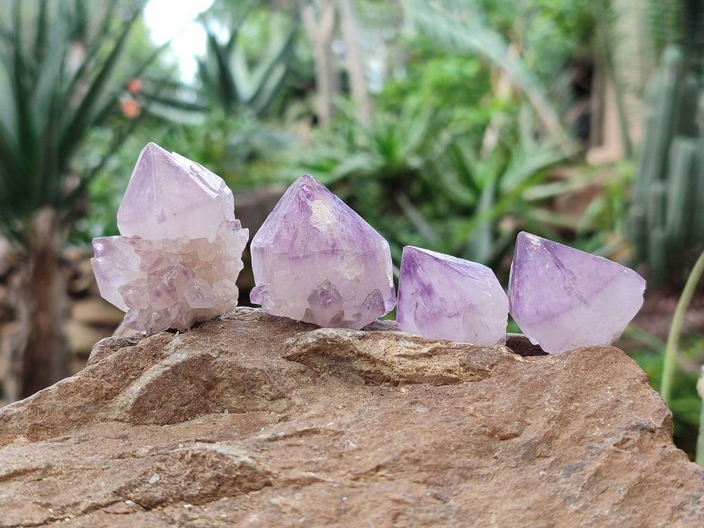 Natural Sunburst Amethyst Spirit Quartz Single Crystals x 63 From South Africa - Toprock Gemstones and Minerals 