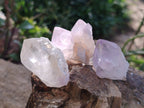 Natural Sunburst Amethyst Spirit Quartz Single Crystals x 63 From South Africa - Toprock Gemstones and Minerals 