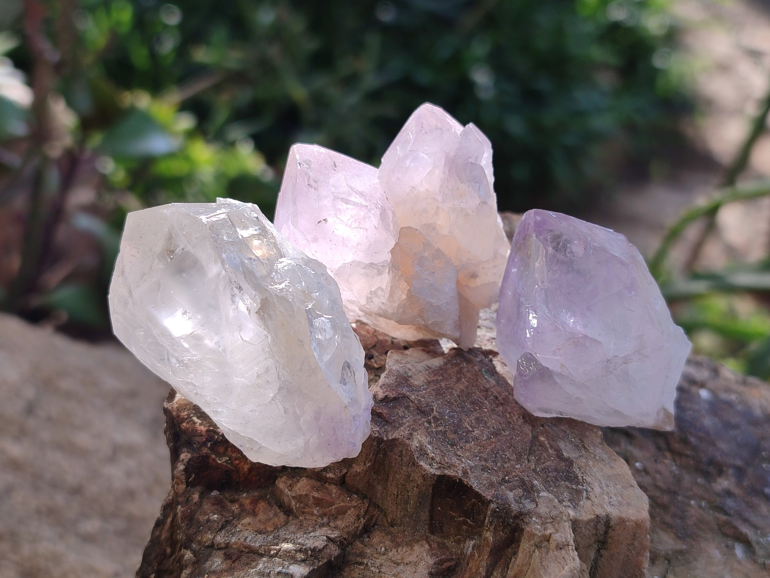 Natural Sunburst Amethyst Spirit Quartz Single Crystals x 63 From South Africa - Toprock Gemstones and Minerals 