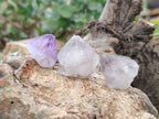 Natural Sunburst Amethyst Spirit Quartz Single Crystals x 63 From South Africa - Toprock Gemstones and Minerals 