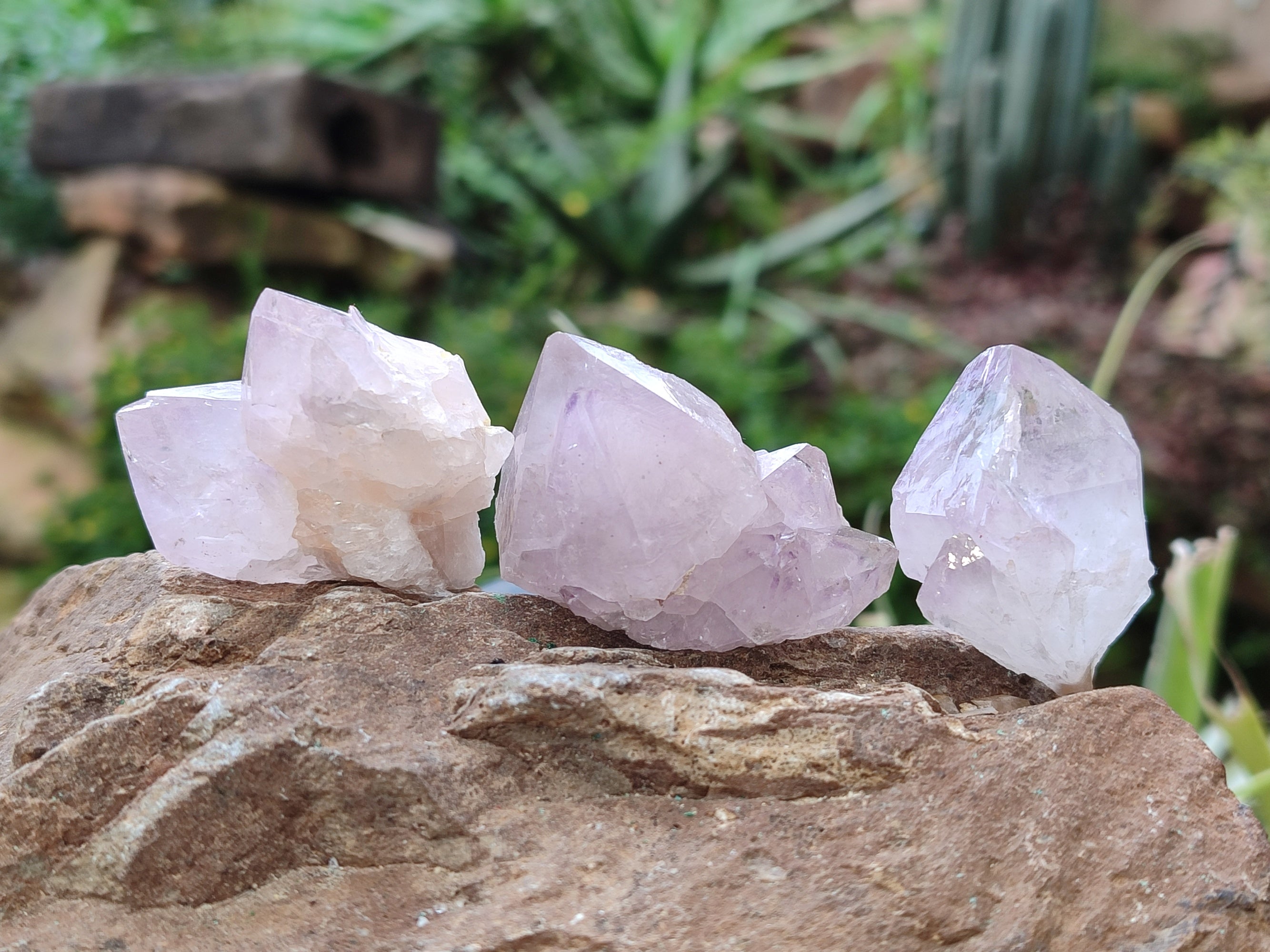Natural Sunburst Amethyst Spirit Quartz Single Crystals x 63 From South Africa - Toprock Gemstones and Minerals 