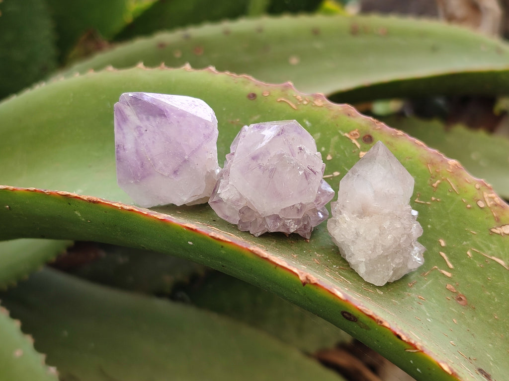Natural Sunburst Amethyst Spirit Quartz Single Crystals x 63 From South Africa - Toprock Gemstones and Minerals 