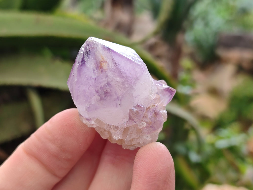 Natural Sunburst Amethyst Spirit Quartz Single Crystals x 63 From South Africa - Toprock Gemstones and Minerals 
