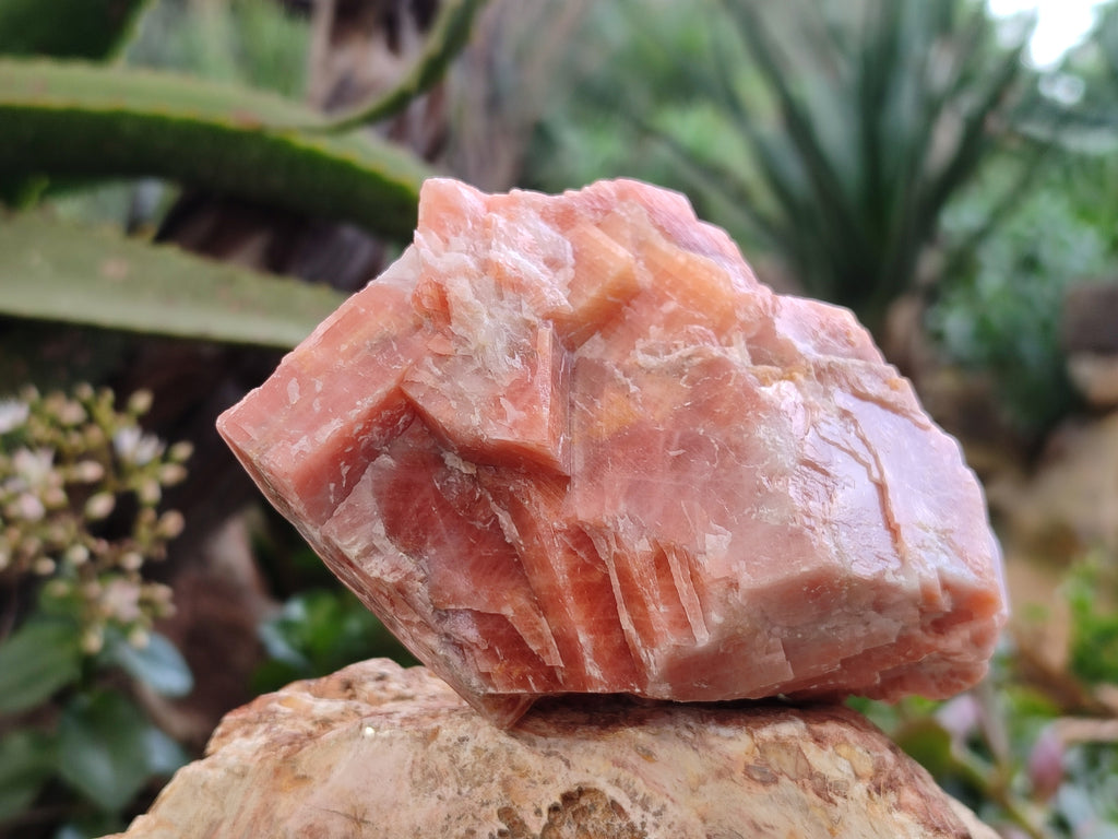 Natural Rhombohedral Sunset Orange Calcite Specimens x 4 From Spitzkop, Namibia - Toprock Gemstones and Minerals 