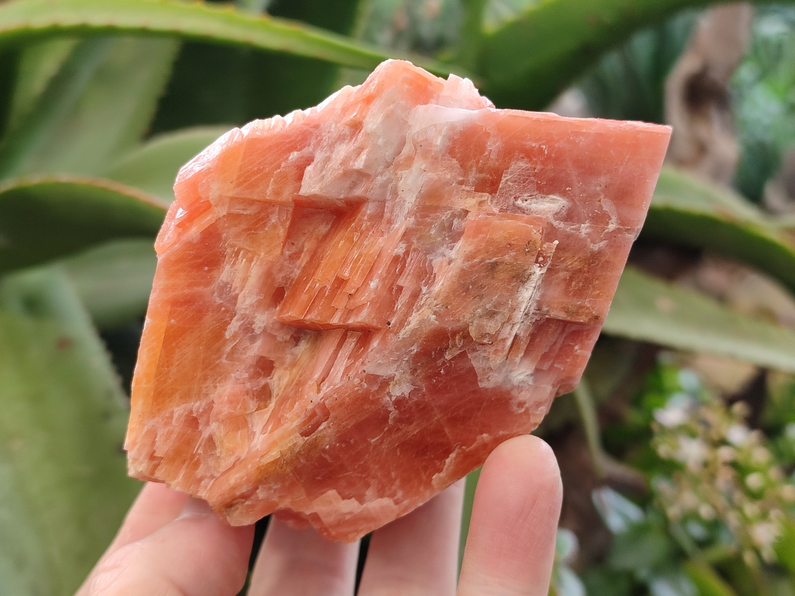 Natural Rhombohedral Sunset Orange Calcite Specimens x 4 From Spitzkop, Namibia - Toprock Gemstones and Minerals 
