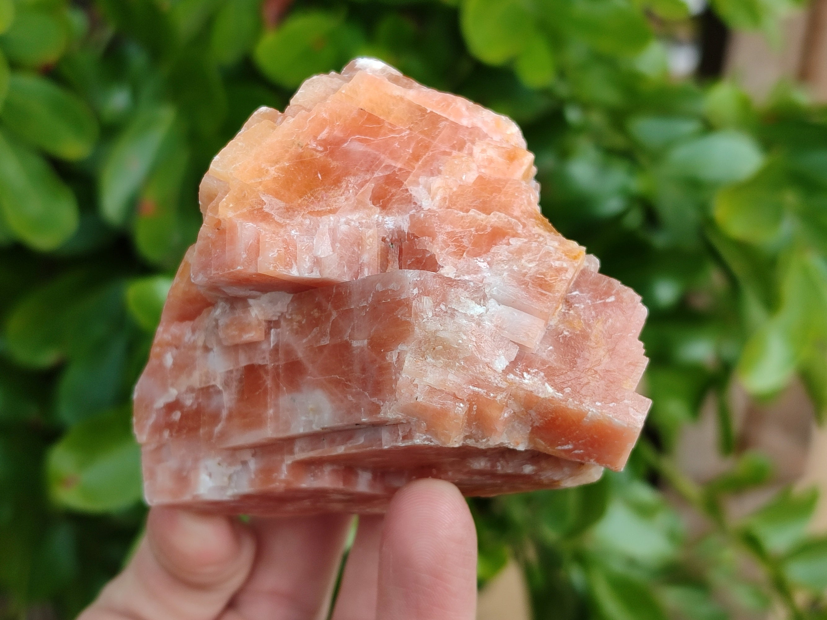 Natural Rhombohedral Sunset Orange Calcite Specimens x 4 From Spitzkop, Namibia - Toprock Gemstones and Minerals 