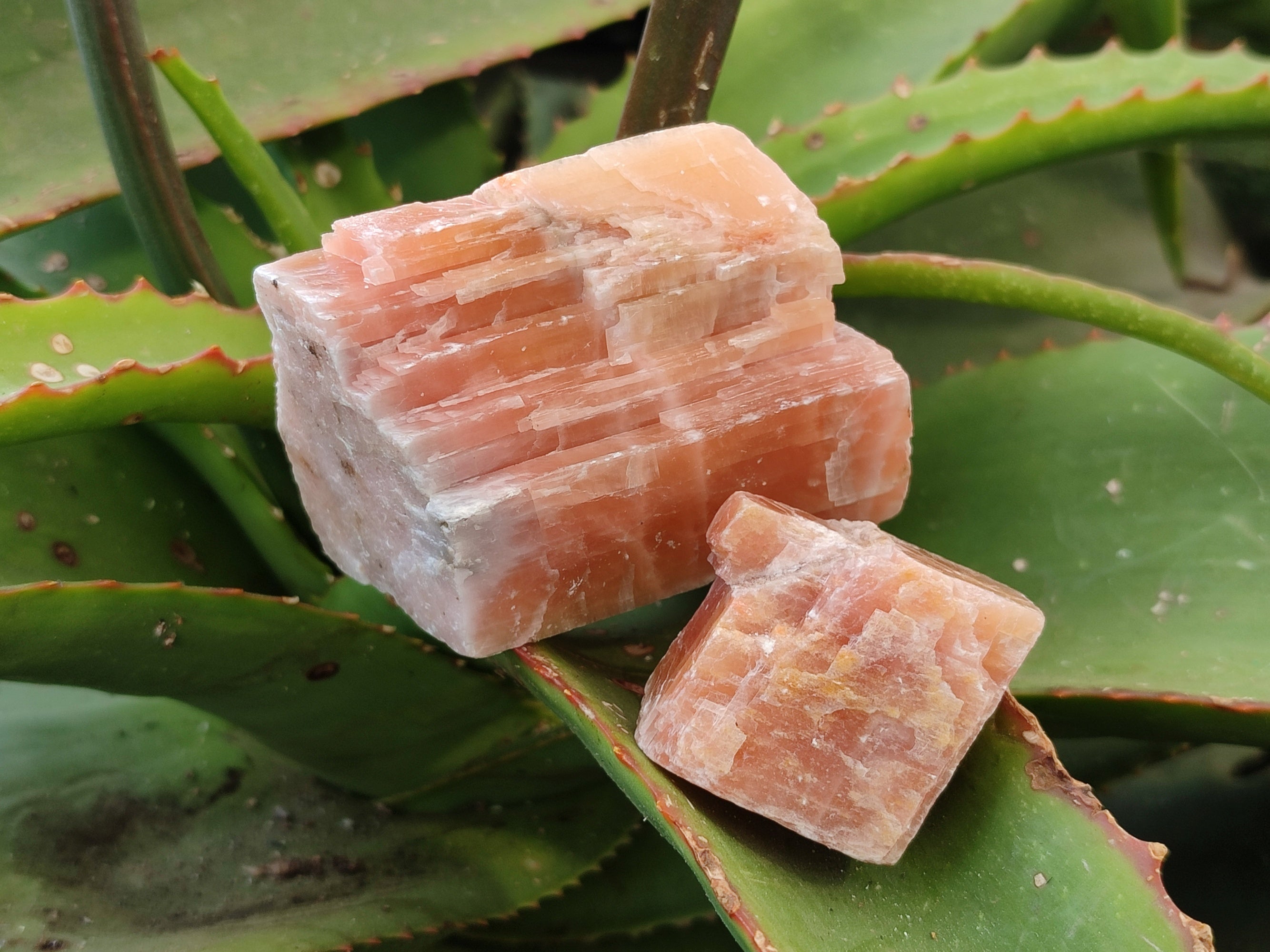 Natural Rhombohedral Sunset Orange Calcite Specimens x 4 From Spitzkop, Namibia - Toprock Gemstones and Minerals 