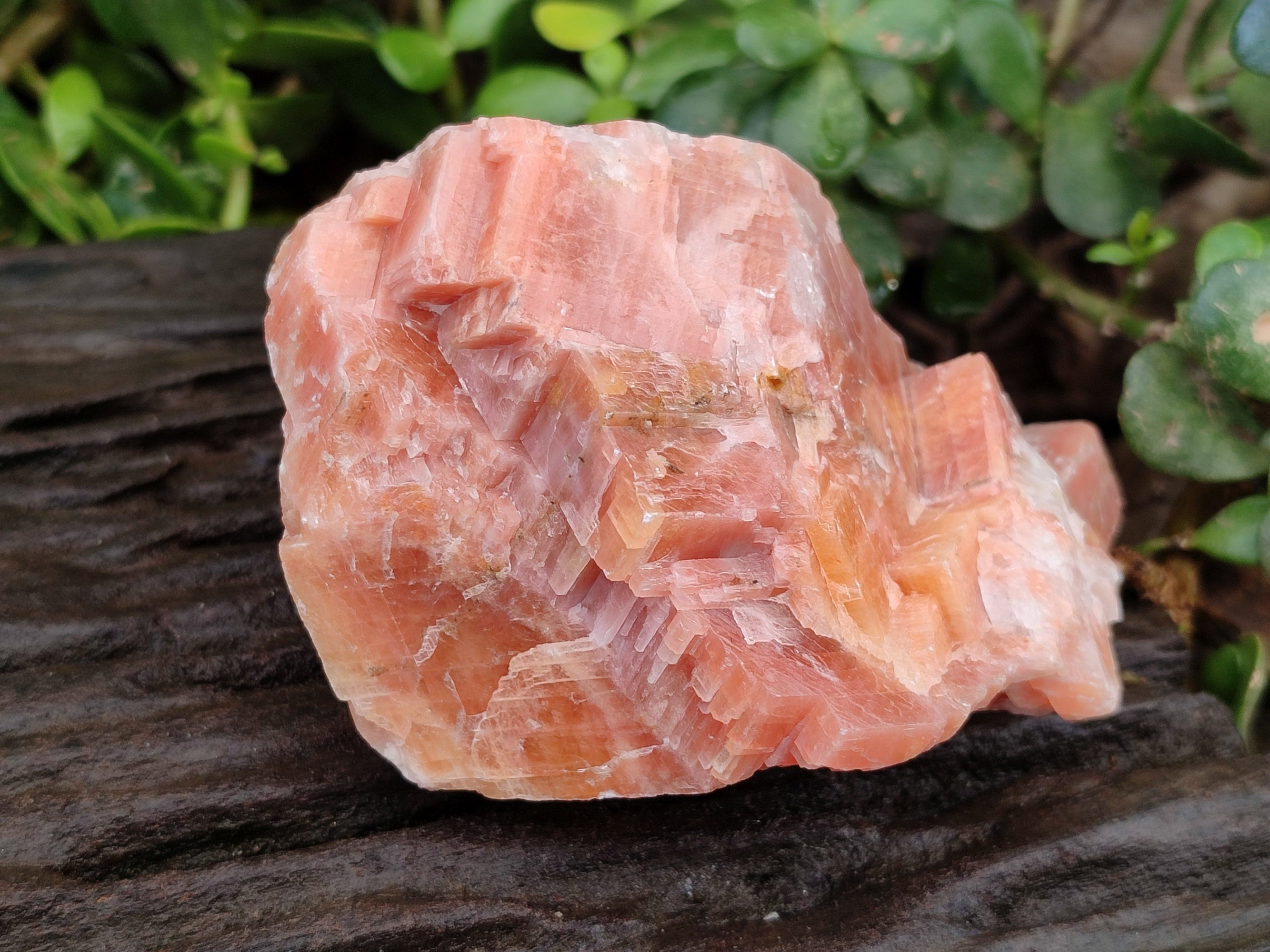 Natural Rhombohedral Sunset Orange Calcite Specimens x 4 From Spitzkop, Namibia - Toprock Gemstones and Minerals 