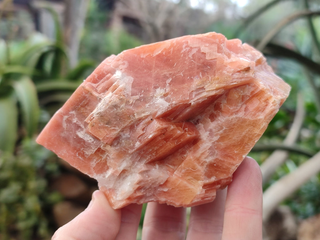 Natural Rhombohedral Sunset Orange Calcite Specimens x 4 From Spitzkop, Namibia - Toprock Gemstones and Minerals 