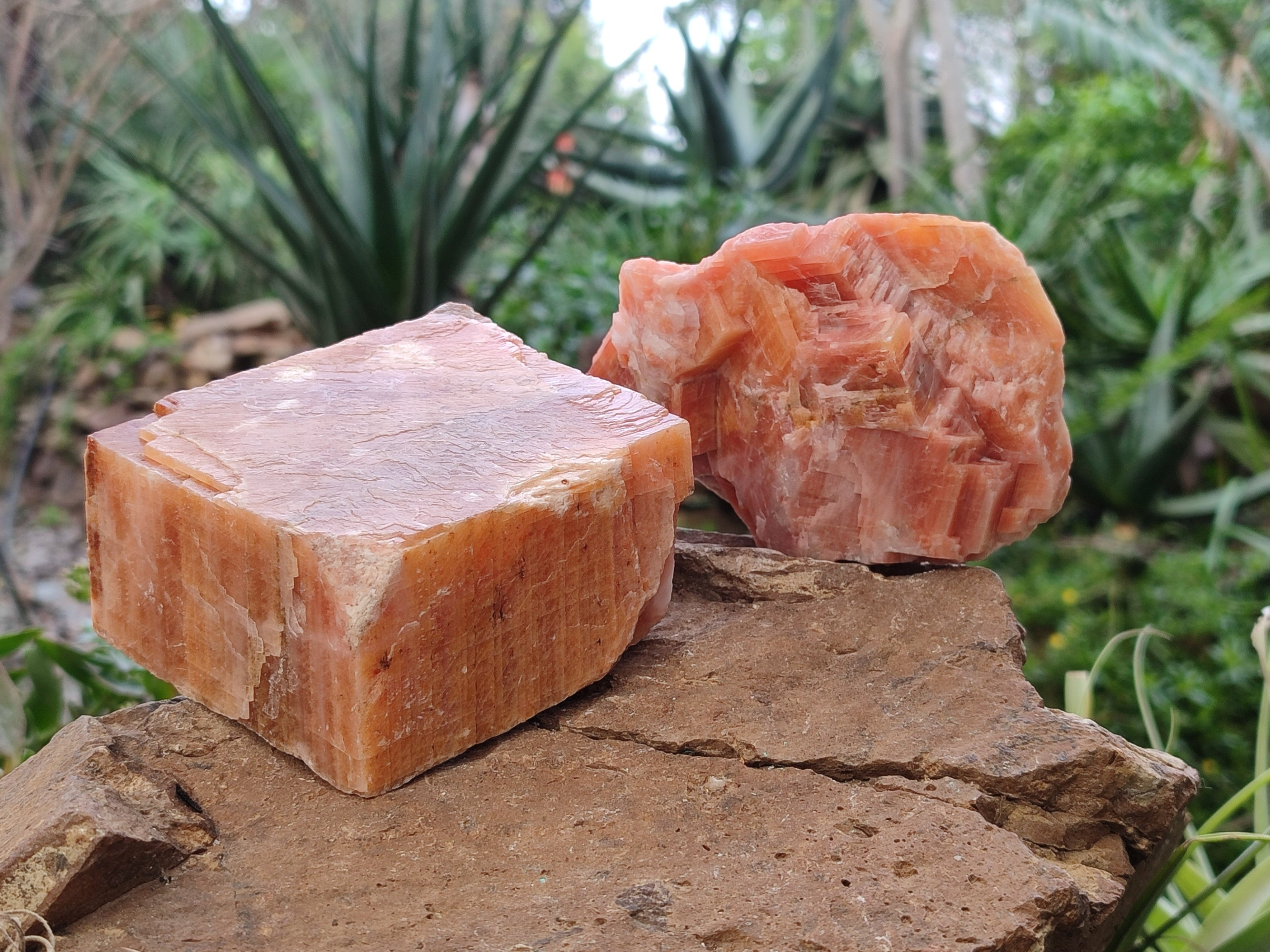 Natural Rhombohedral Sunset Orange Calcite Specimens x 4 From Spitzkop, Namibia - Toprock Gemstones and Minerals 