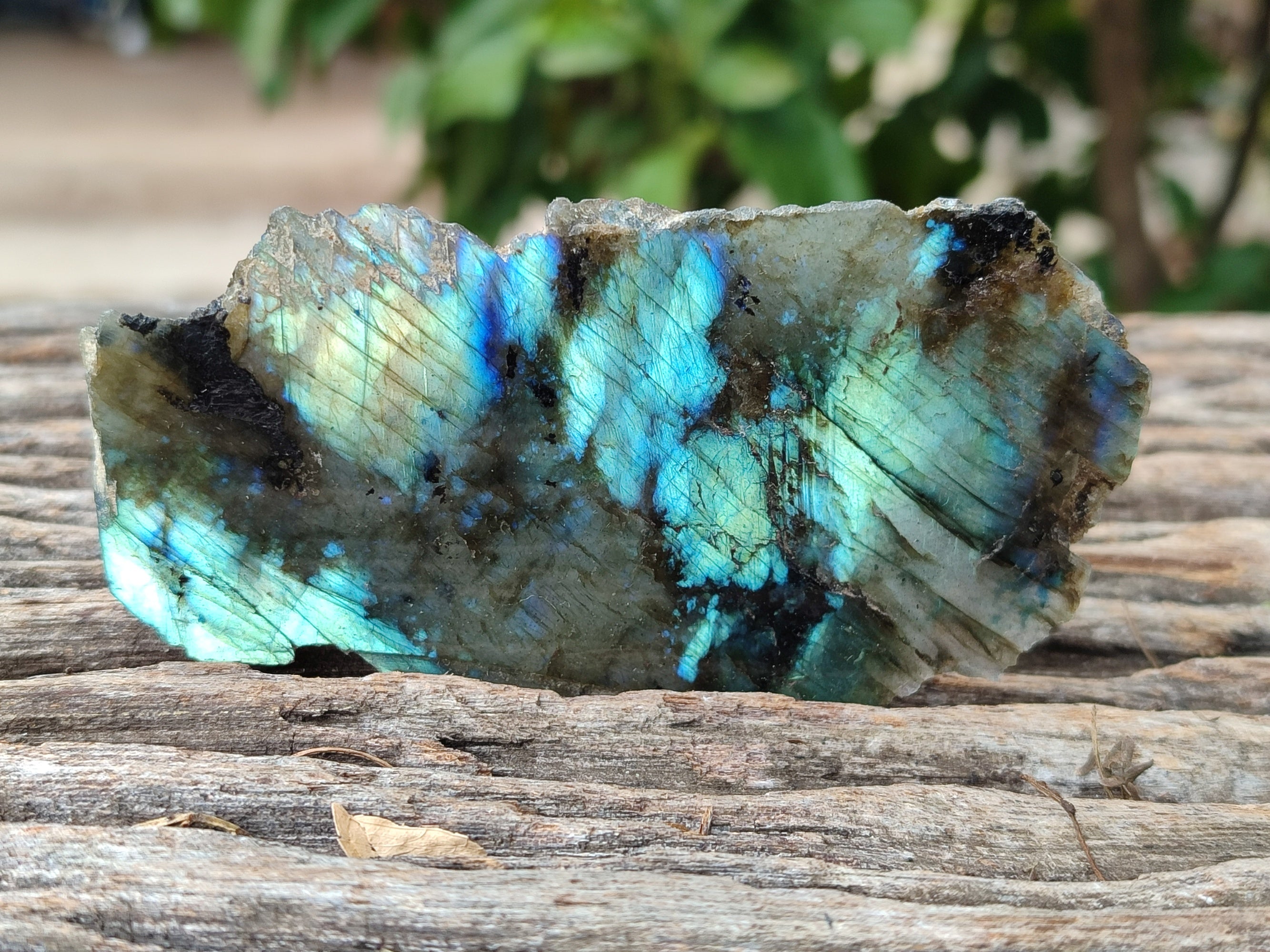 Polished On One Side Small Labradorite Plates x 24 From Tulear, Madagascar - Toprock Gemstones and Minerals 