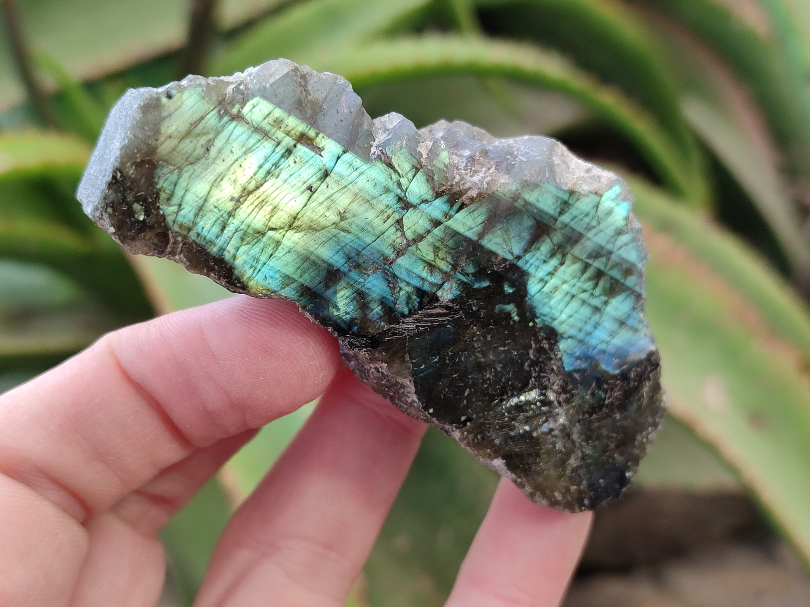 Polished On One Side Small Labradorite Plates x 24 From Tulear, Madagascar - Toprock Gemstones and Minerals 