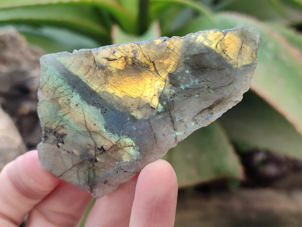 Polished On One Side Small Labradorite Plates x 24 From Tulear, Madagascar - Toprock Gemstones and Minerals 