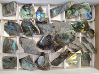 Polished On One Side Small Labradorite Plates x 24 From Tulear, Madagascar - Toprock Gemstones and Minerals 