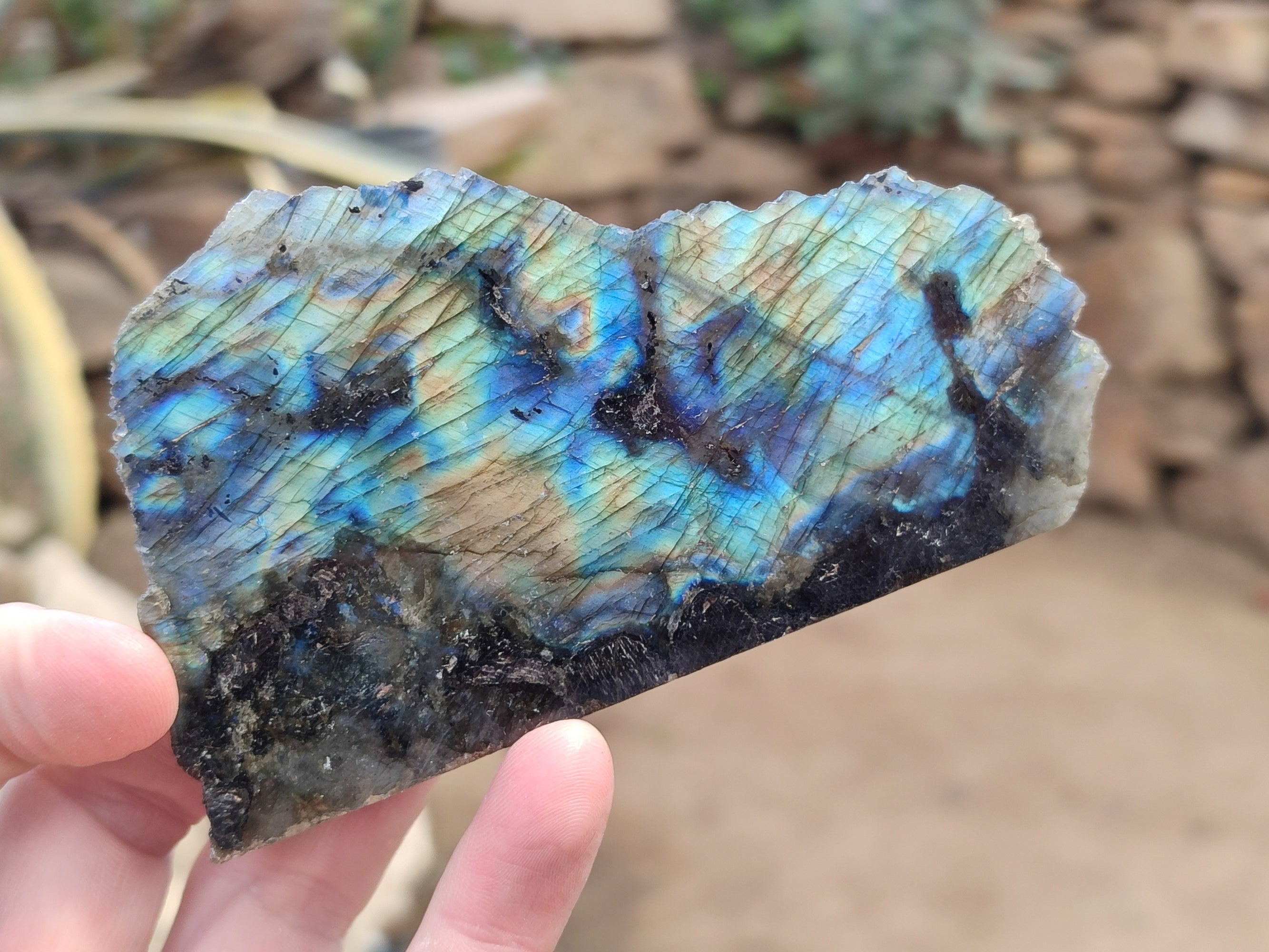 Polished On One Side Small Labradorite Plates x 24 From Tulear, Madagascar - Toprock Gemstones and Minerals 