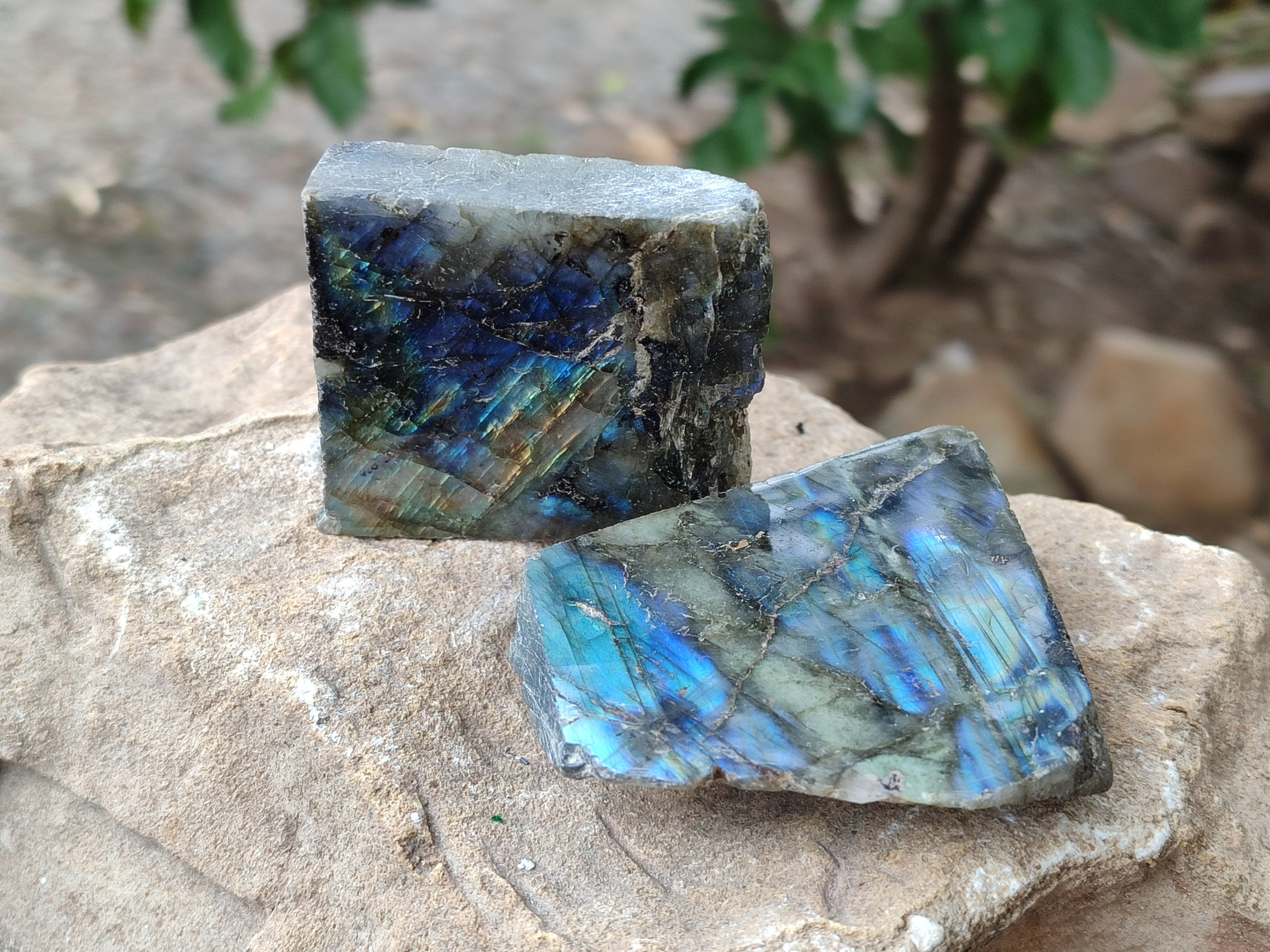 Polished On One Side Small Labradorite Plates x 24 From Tulear, Madagascar - Toprock Gemstones and Minerals 