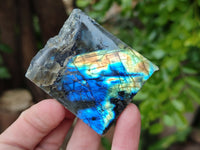 Polished On One Side Small Labradorite Plates x 24 From Tulear, Madagascar - Toprock Gemstones and Minerals 