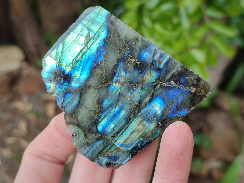 Polished On One Side Small Labradorite Plates x 24 From Tulear, Madagascar - Toprock Gemstones and Minerals 