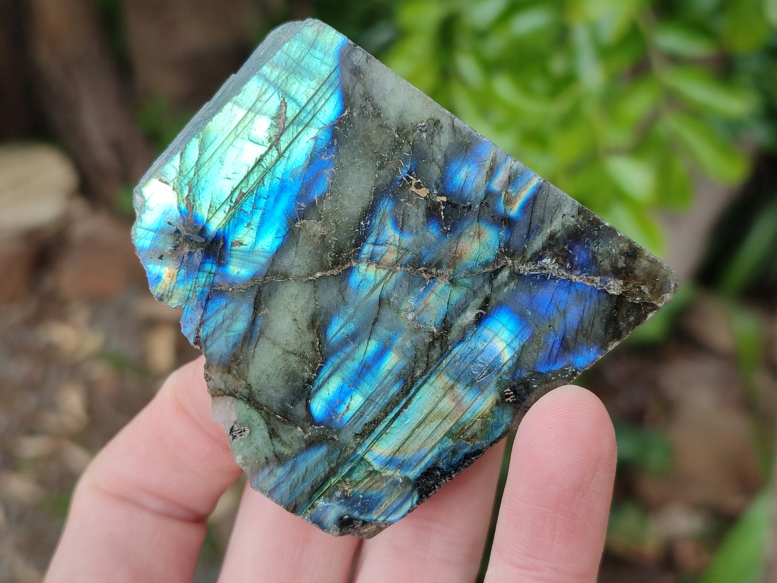 Polished On One Side Small Labradorite Plates x 24 From Tulear, Madagascar - Toprock Gemstones and Minerals 