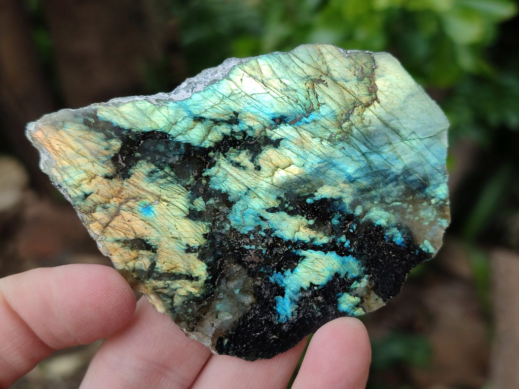 Polished On One Side Small Labradorite Plates x 24 From Tulear, Madagascar - Toprock Gemstones and Minerals 
