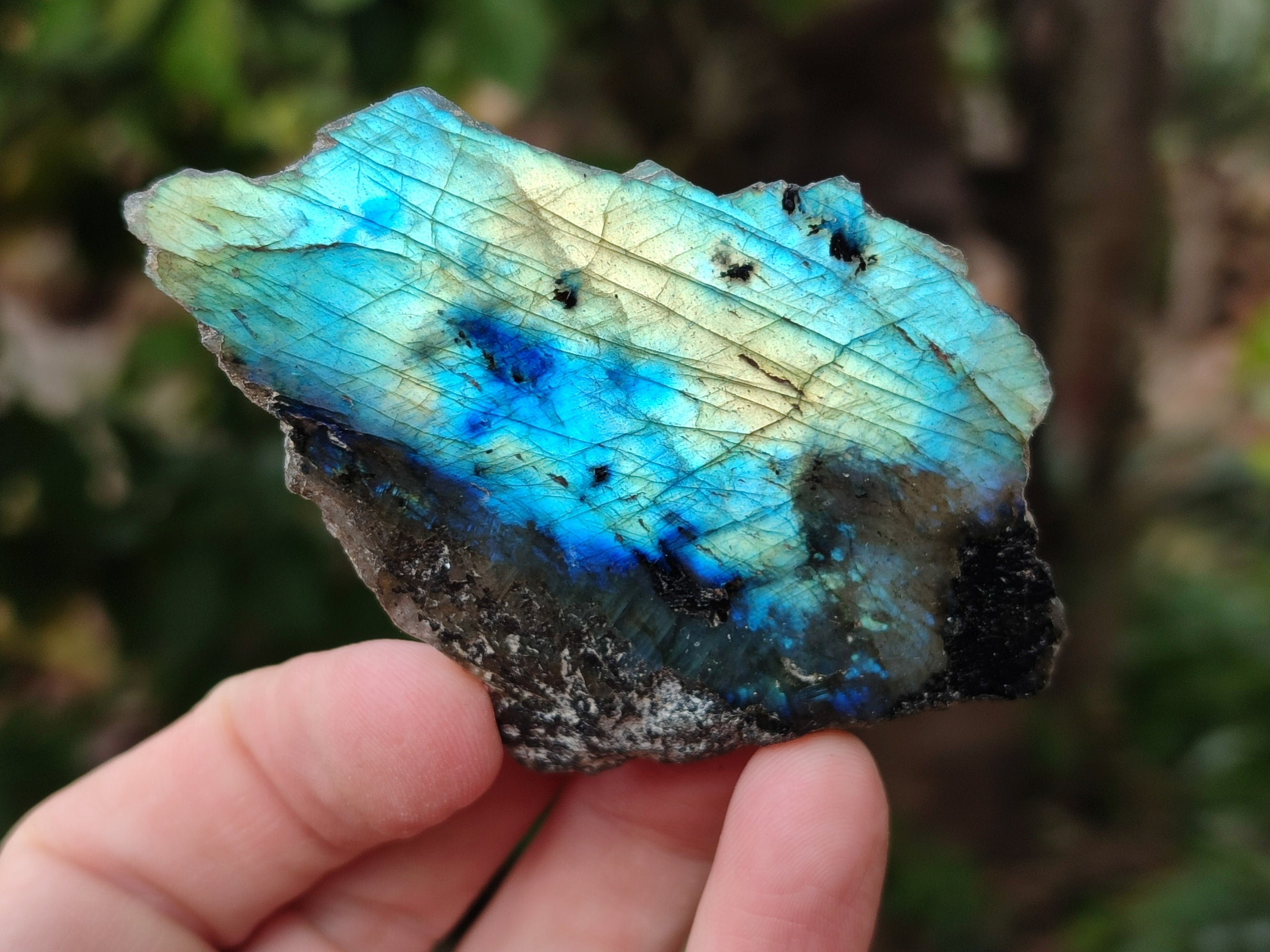 Polished On One Side Small Labradorite Plates x 24 From Tulear, Madagascar - Toprock Gemstones and Minerals 