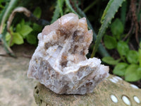 Natural Limonite Coated Fairy Spirit Quartz Clusters x 6 From South Africa