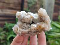 Natural Limonite Coated Fairy Spirit Quartz Clusters x 6 From South Africa