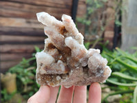 Natural Limonite Coated Fairy Spirit Quartz Clusters x 6 From South Africa