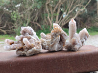 Natural Limonite Coated Fairy Spirit Quartz Clusters x 6 From South Africa