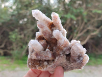 Natural Limonite Coated Fairy Spirit Quartz Clusters x 6 From South Africa