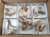 Natural Limonite Coated Fairy Spirit Quartz Clusters x 6 From South Africa