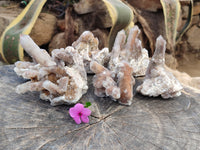 Natural Limonite Coated Fairy Spirit Quartz Clusters x 6 From South Africa