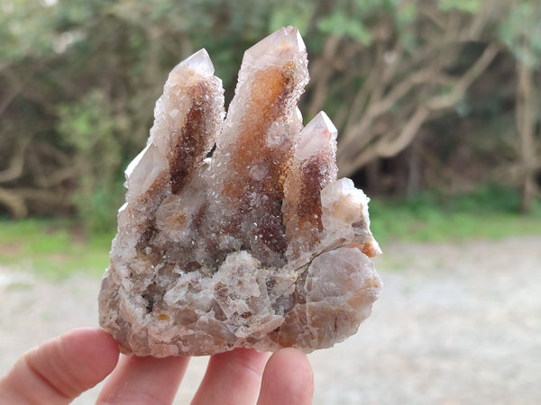 Natural Limonite Coated Fairy Spirit Quartz Clusters x 6 From South Africa