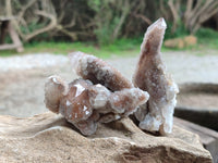 Natural Limonite Coated Fairy Spirit Quartz Clusters x 6 From South Africa