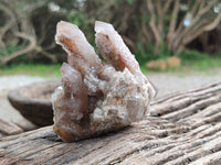 Natural Limonite Coated Fairy Spirit Quartz Clusters x 6 From South Africa