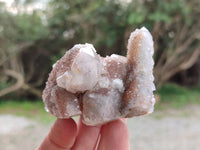 Natural Limonite Coated Fairy Spirit Quartz Clusters x 6 From South Africa