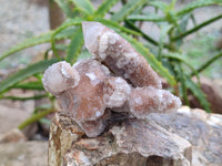 Natural Limonite Coated Fairy Spirit Quartz Clusters x 6 From South Africa