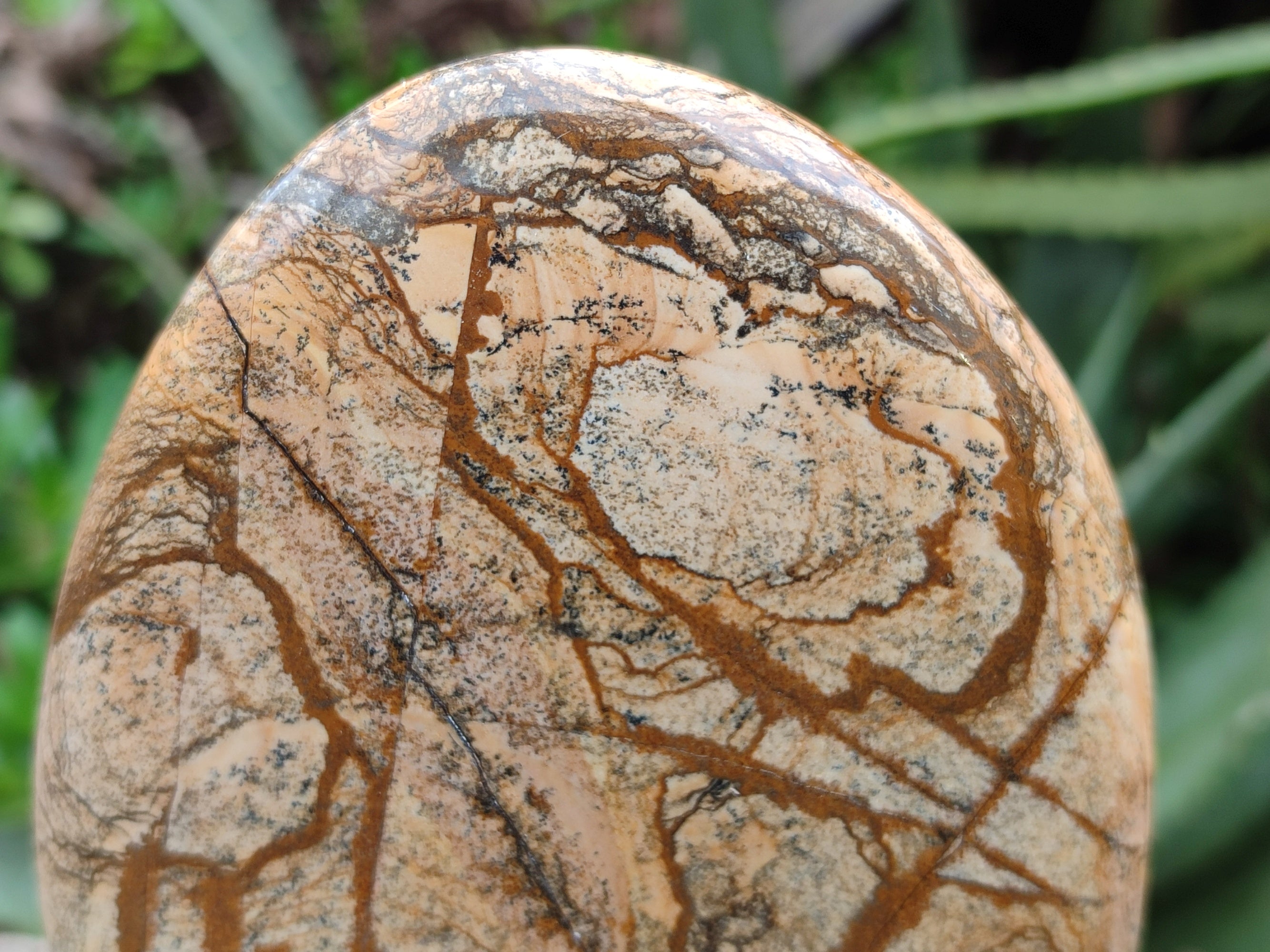 Polished Picture Stone Jasper Standing Free Forms x 2 From Ais-Ais, Namibia - Toprock Gemstones and Minerals 