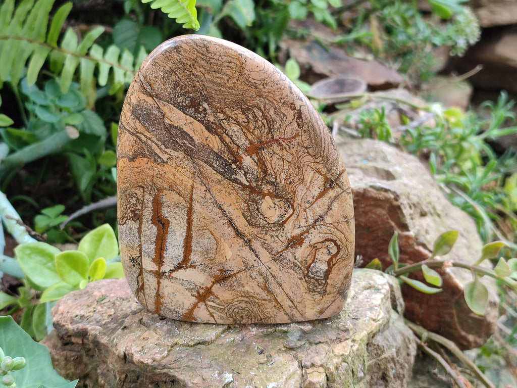 Polished Picture Stone Jasper Standing Free Forms x 2 From Ais-Ais, Namibia - Toprock Gemstones and Minerals 