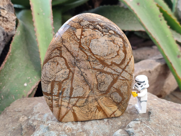 Polished Picture Stone Jasper Standing Free Forms x 2 From Ais-Ais, Namibia