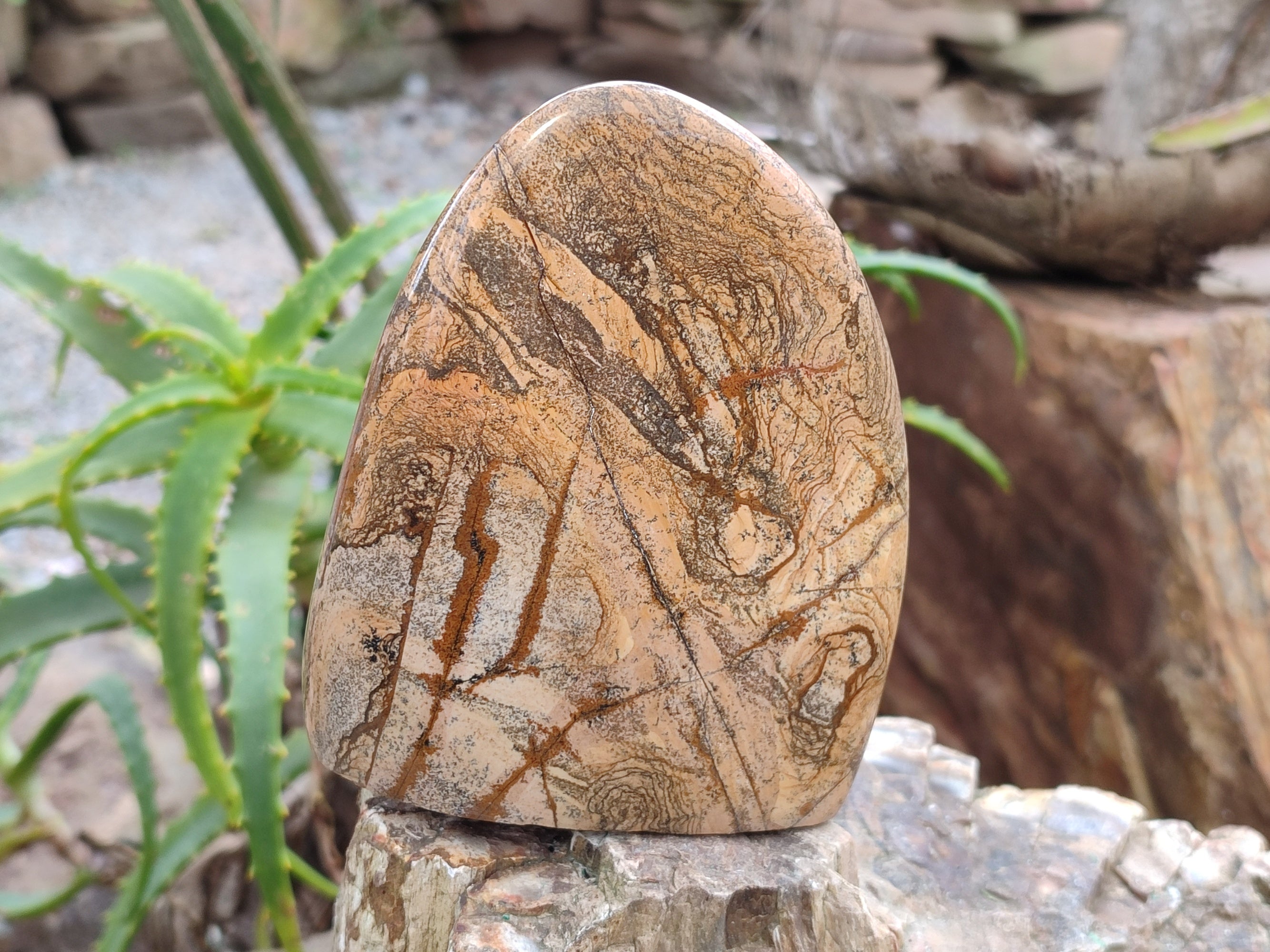 Polished Picture Stone Jasper Standing Free Forms x 2 From Ais-Ais, Namibia - Toprock Gemstones and Minerals 