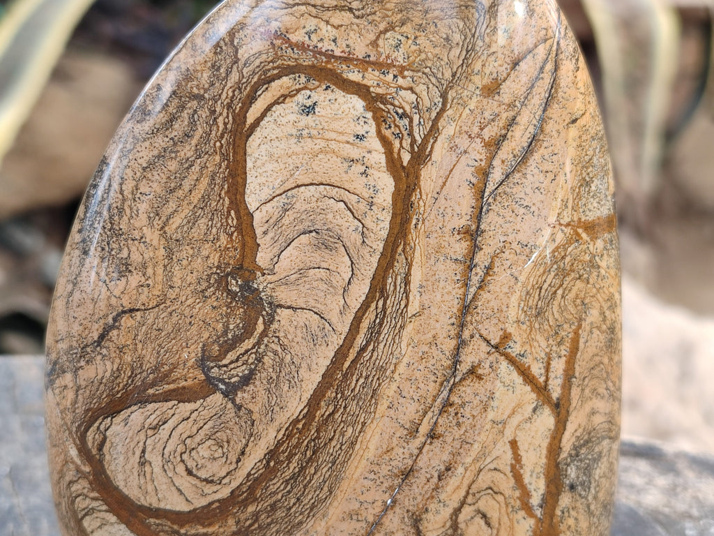 Polished Picture Stone Jasper Standing Free Forms x 2 From Ais-Ais, Namibia - Toprock Gemstones and Minerals 